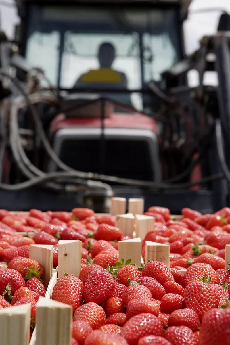 12 de abril, hoy es nuestro día