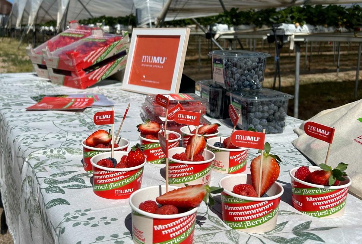 Unas fresas de reportaje