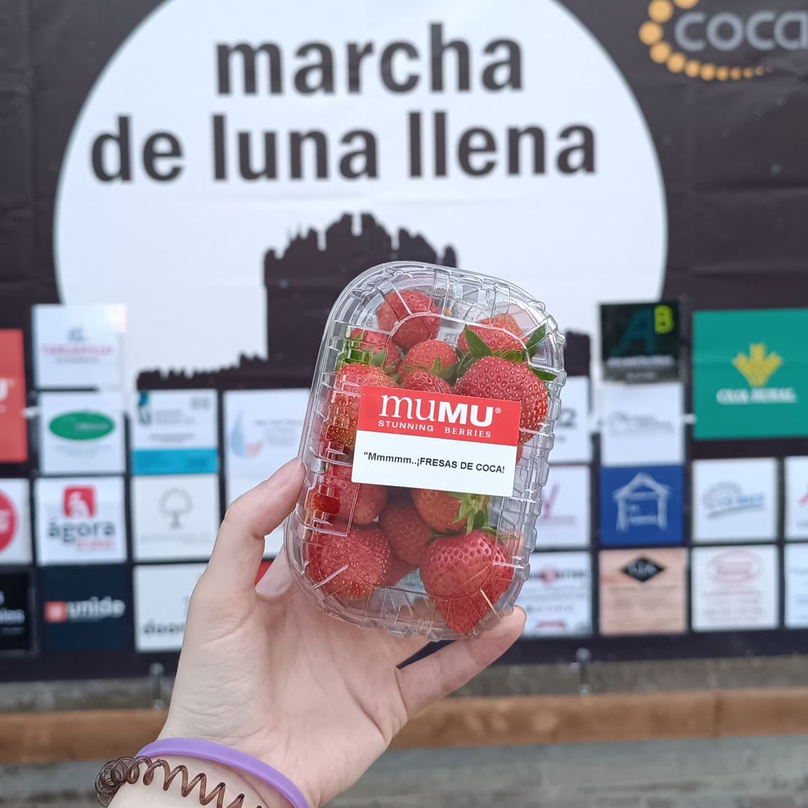 Caminamos bajo la luz de la luna