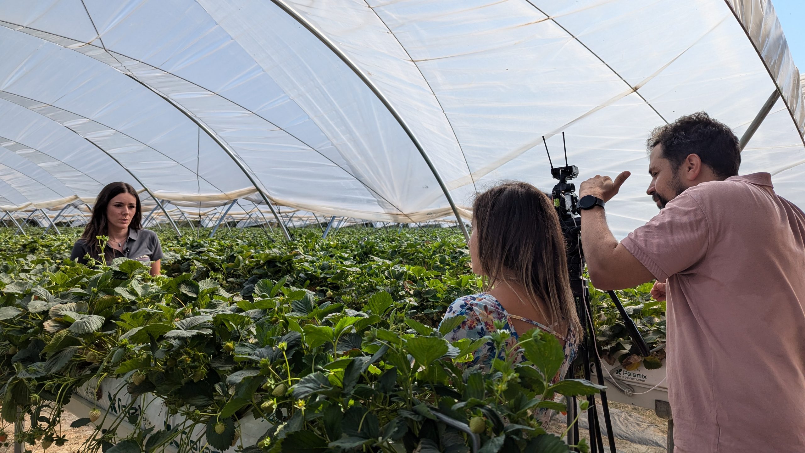 CyLTV visita nuestros campos