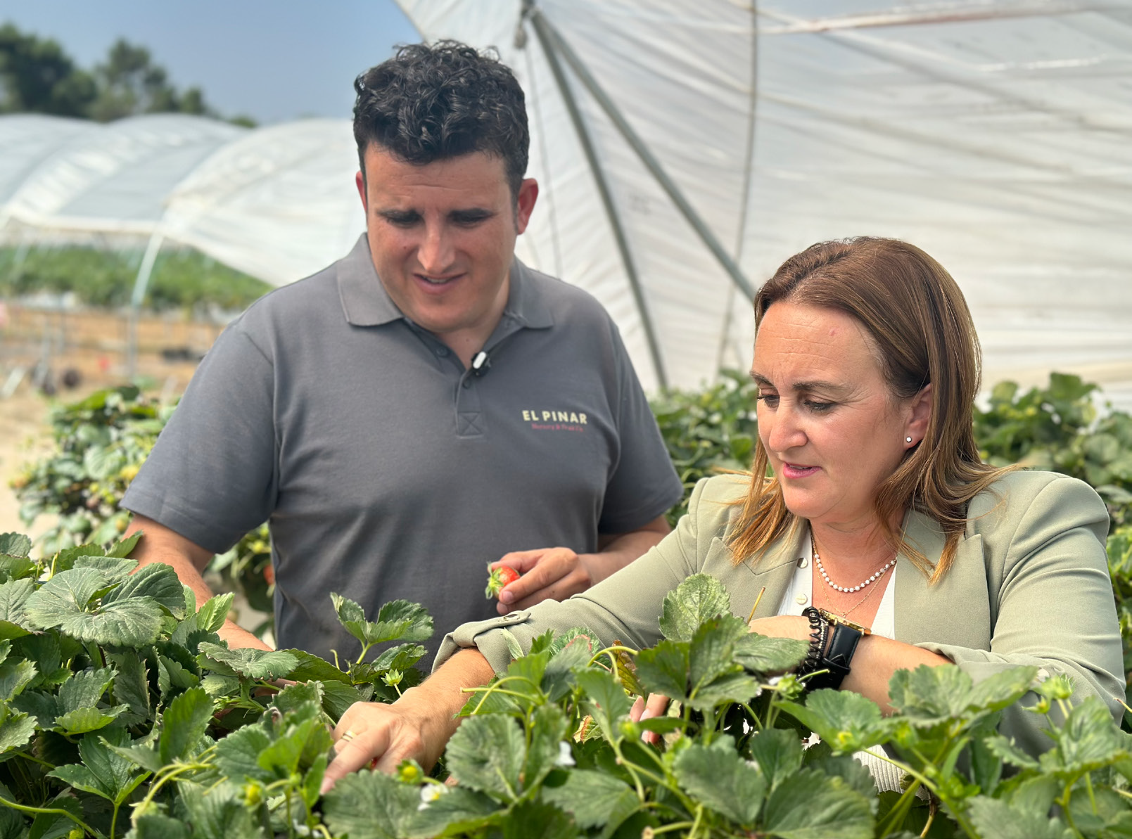 Del campo a los lineales en un solo día