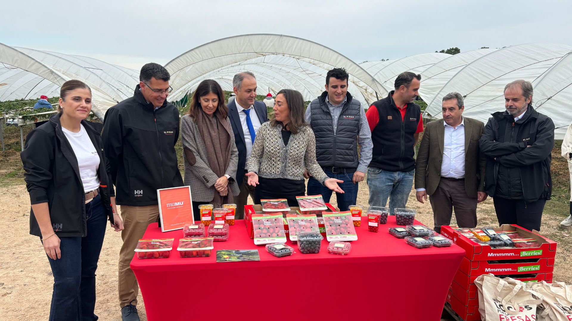Castilla y León, líder europeo en el cultivo de planta de fresa