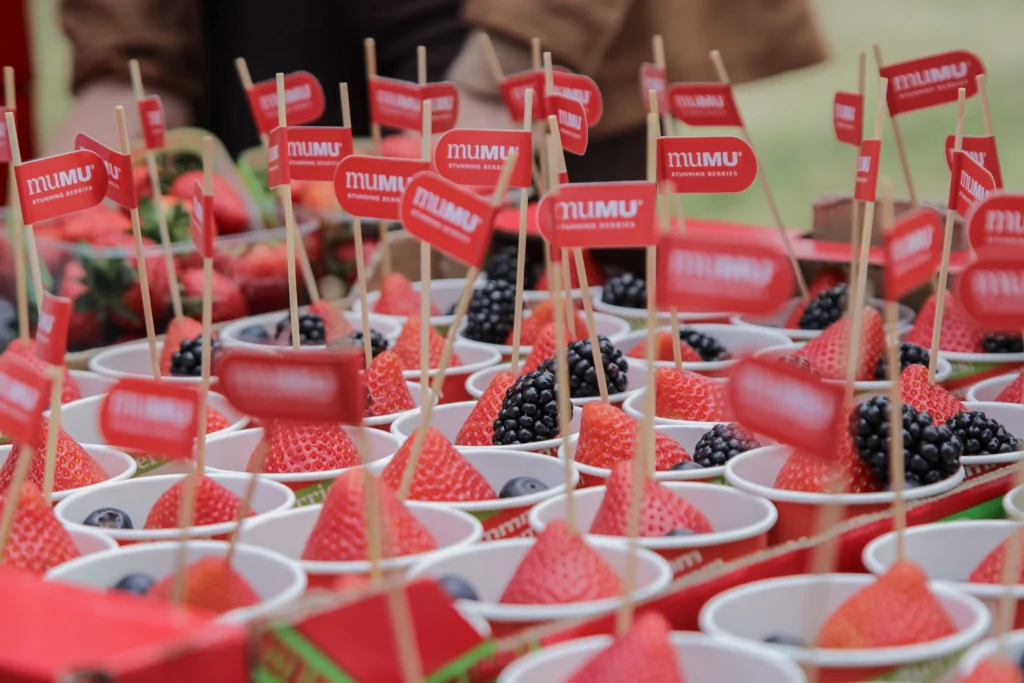 Vasitos de degustación MUMU Berries para la I Feria Sin Gluten de Alimentos de Segovia.